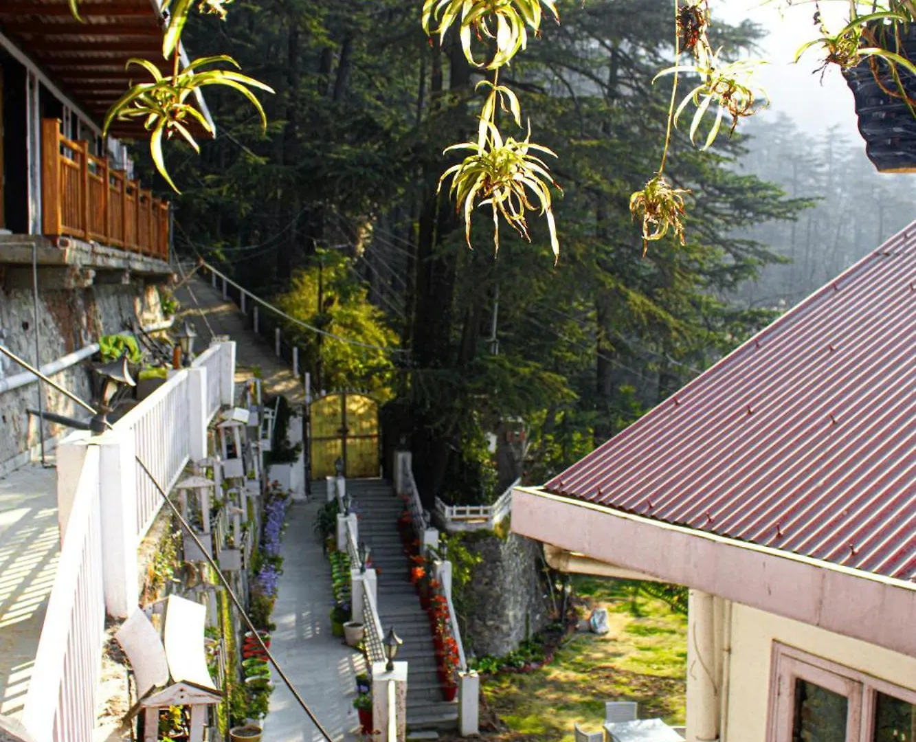 Whispering Pines Villa Shimla